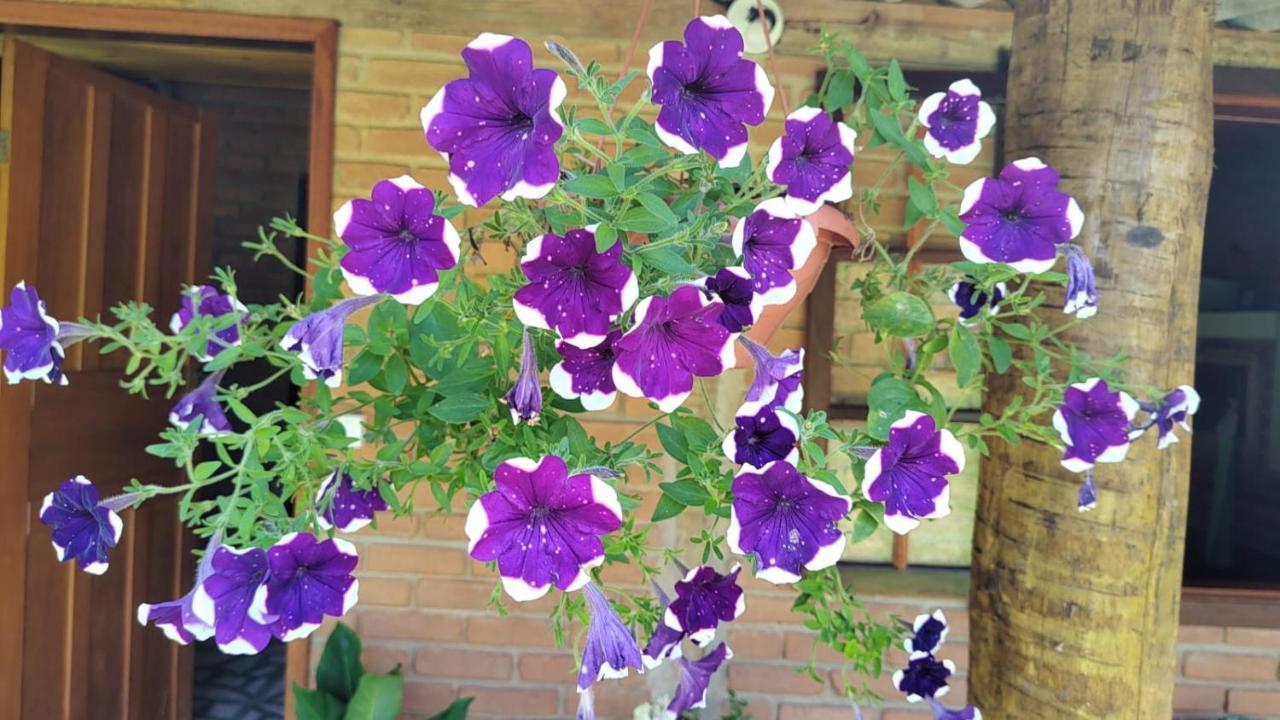 Chale Vale Das Flores - Visconde De Maua Rj Exteriér fotografie